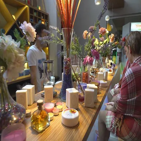 Exelsior Junior 马尔马里斯